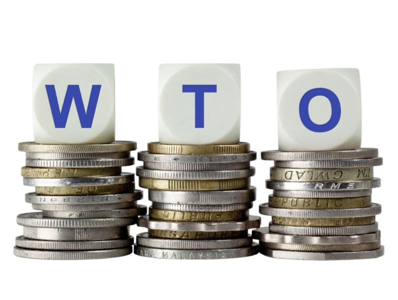 중국과 WTO 백서의 주요 내용