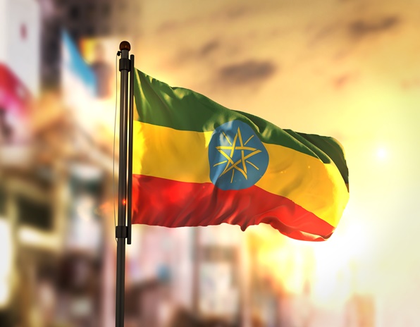 [이슈트렌드] 에티오피아, 정부와 티그라이 반군 사이 대립 격화...인도적 위기와 지역 불안 심화 우려 