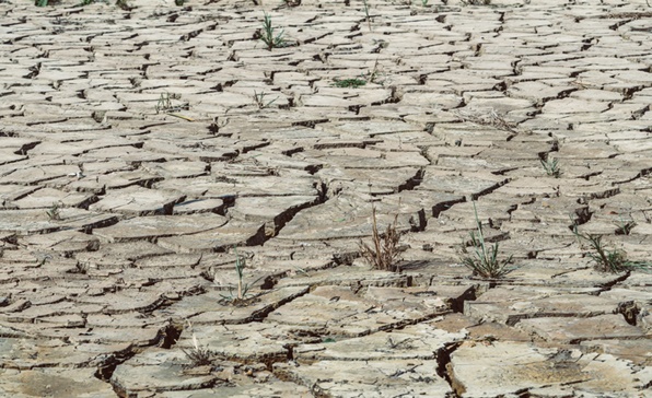 [이슈트렌드] 이란, 50년 만에 최악의 가뭄... 물 부족으로 인한 소요사태도 발생