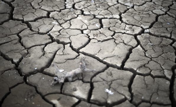[이슈트렌드] 케냐, 가뭄과 우크라이나 전쟁으로 물가 상승 문제 심화