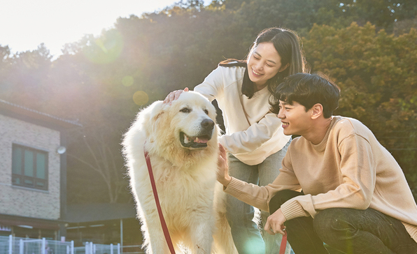 中 반려동물 산업 급성장