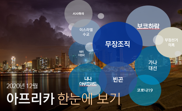 [월간정세변화] 2020년 12월 아프리카 한 눈에 보기